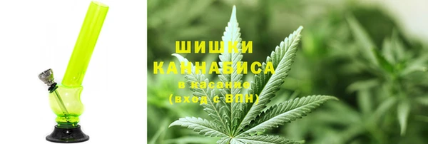 кокс Белокуриха