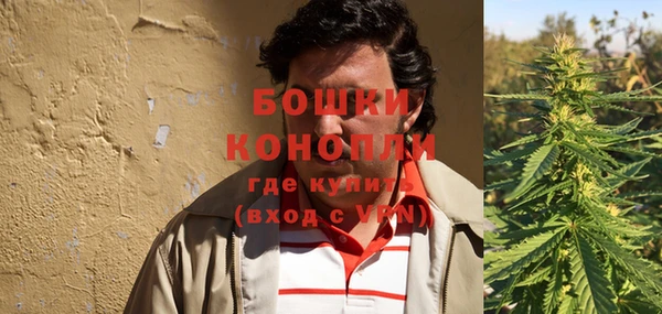 кокс Белокуриха