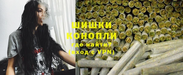 ECSTASY Новозыбков