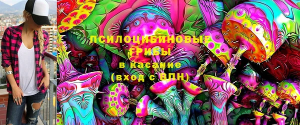кокс Белокуриха
