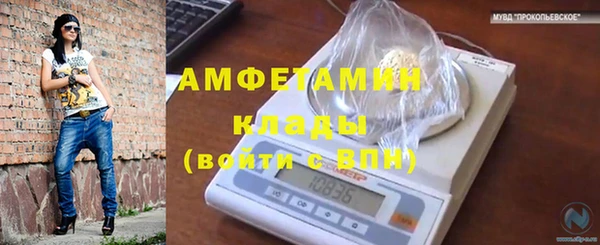 кокс Белокуриха