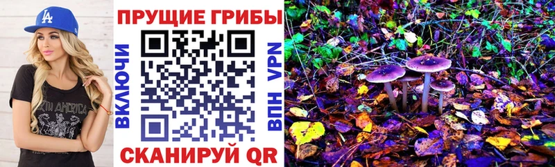 Псилоцибиновые грибы прущие грибы  Покровск 